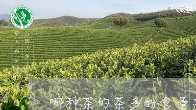 哪种茶的茶多酚含量高/2023071549502