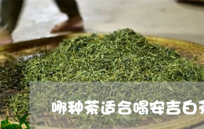 哪种茶适合喝安吉白茶/2023092869447