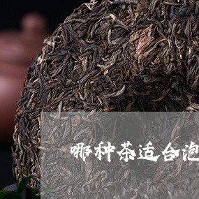 哪种茶适合泡普洱茶壶子/2023081424047