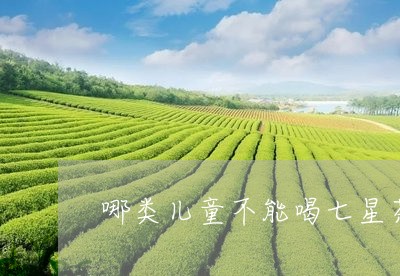 哪类儿童不能喝七星茶/2023060836957