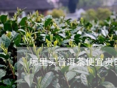 哪里买普洱茶便宜贵的普洱茶/2023052781824