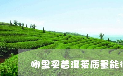 哪里买普洱茶质量能得到保障/2023052931796