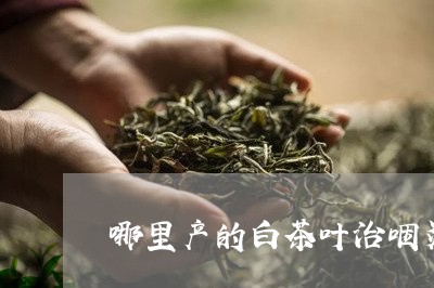 哪里产的白茶叶治咽炎/2023092861604