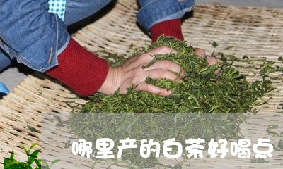 哪里产的白茶好喝点/2023081469405