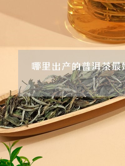 哪里出产的普洱茶最好/2023082914947