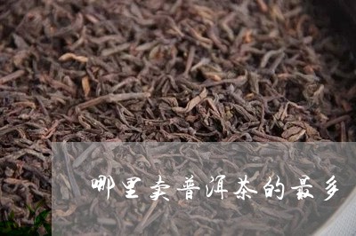 哪里卖普洱茶的最多/2023120690594