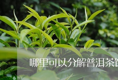 哪里可以分解普洱茶饼/2023100811692