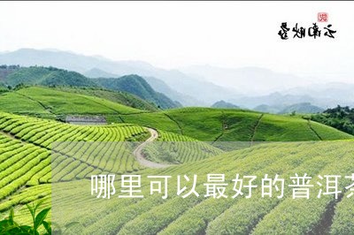 哪里可以最好的普洱茶/2023062596260