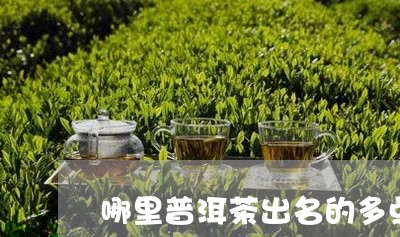 哪里普洱茶出名的多点品种/2023082951626