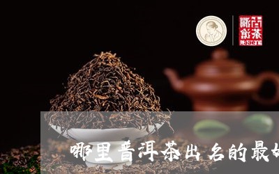 哪里普洱茶出名的最好喝/2023110199483