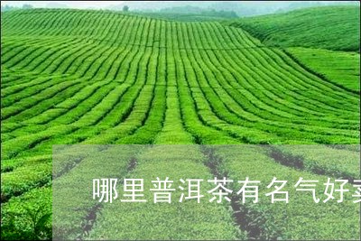 哪里普洱茶有名气好卖的/2023112731401