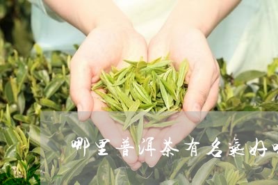 哪里普洱茶有名气好喝/2023082940625