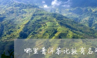 哪里普洱茶比较有名气又好喝/2023052951703