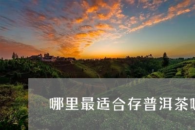 哪里最适合存普洱茶呢/2023112773704