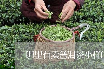 哪里有卖普洱茶小样的/2023092940605