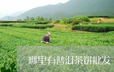 哪里有普洱茶饼批发/2023071052937