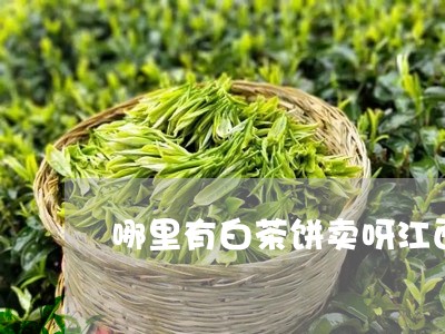 哪里有白茶饼卖呀江西南昌/2023111545048