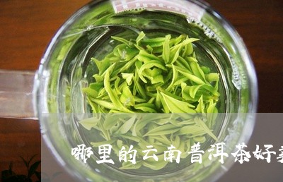 哪里的云南普洱茶好卖呢/2023082943138