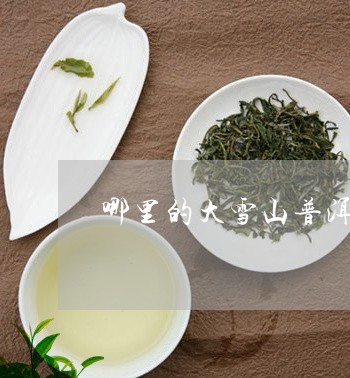 哪里的大雪山普洱茶好/2023092690594