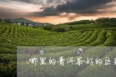 哪里的普洱茶好的区别/2023062161037