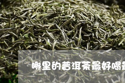 哪里的普洱茶最好喝最正宗/2023110584248