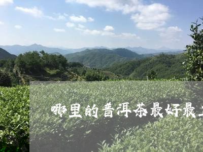 哪里的普洱茶最好最正宗好喝/2023082989806