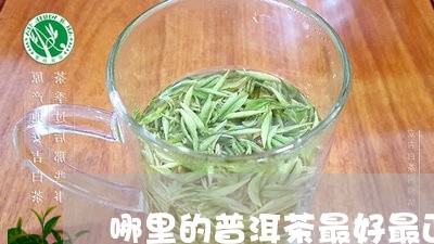 哪里的普洱茶最好最正宗的/2023121512026