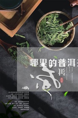 哪里的普洱茶比较好一点/2023050583636