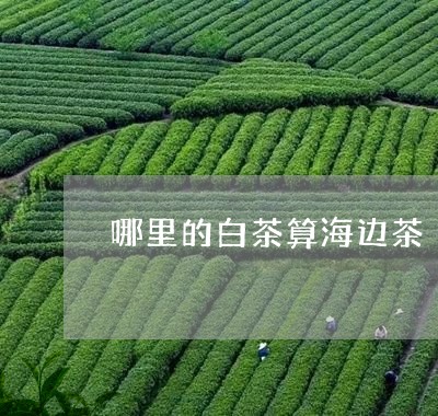 哪里的白茶算海边茶/2023071717472