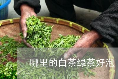 哪里的白茶绿茶好泡/2023071777279