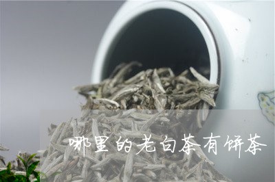 哪里的老白茶有饼茶/2023071787281