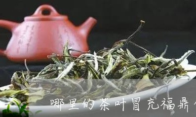 哪里的茶叶冒充福鼎白茶/2023092202729