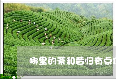 哪里的茶和昔归有点像/2023071659362