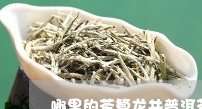 哪里的茶算龙井普洱茶呢/2023082778268