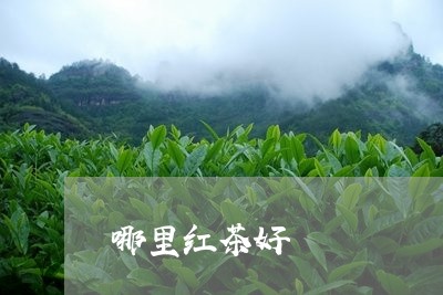 哪里红茶好/2023090289604