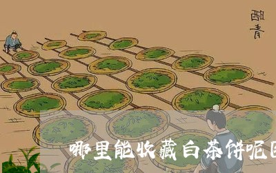 哪里能收藏白茶饼呢图片/2023111743159