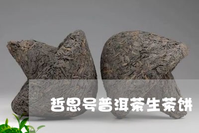 哲思号普洱茶生茶饼/2023120577269