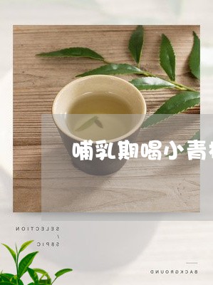 哺乳期喝小青柑普洱茶/2023061555278