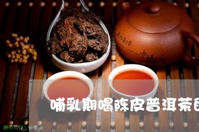 哺乳期喝陈皮普洱茶的好处与坏处/2023060351705