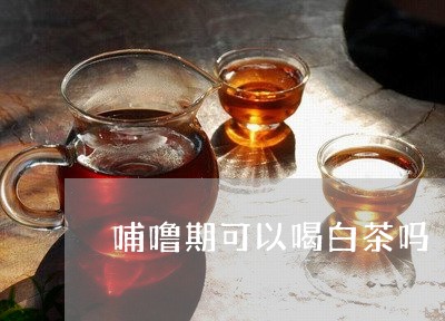 哺噜期可以喝白茶吗/2023071764928