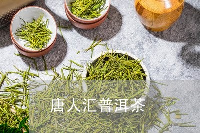 唐人汇普洱茶/2023042640690