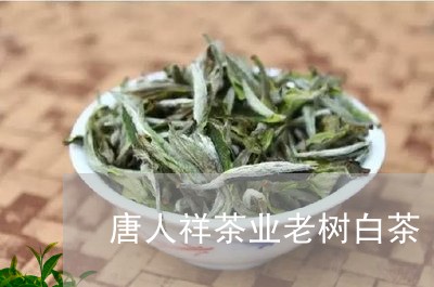 唐人祥茶业老树白茶/2023071751805