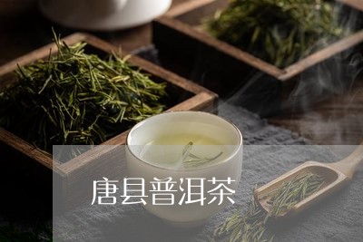 唐县普洱茶/2023090541525