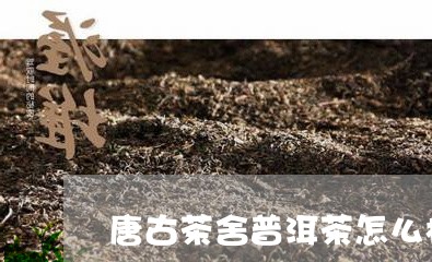 唐古茶舍普洱茶怎么样/2023062860793