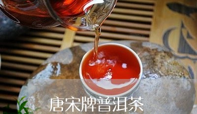 唐宋牌普洱茶/2023042616365