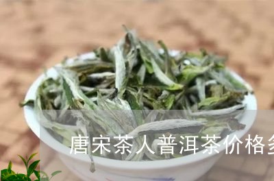 唐宋茶人普洱茶价格多少/2023102554947