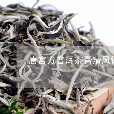 唐宫方普洱茶膏清风饮/2023092721838