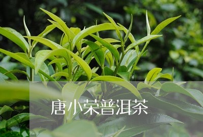 唐小荣普洱茶/2023042898338