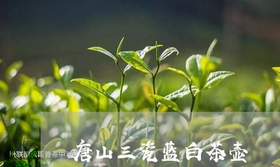 唐山三瓷蓝白茶壶/2023061654847