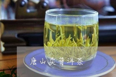 唐山卖普洱茶/2023091387060